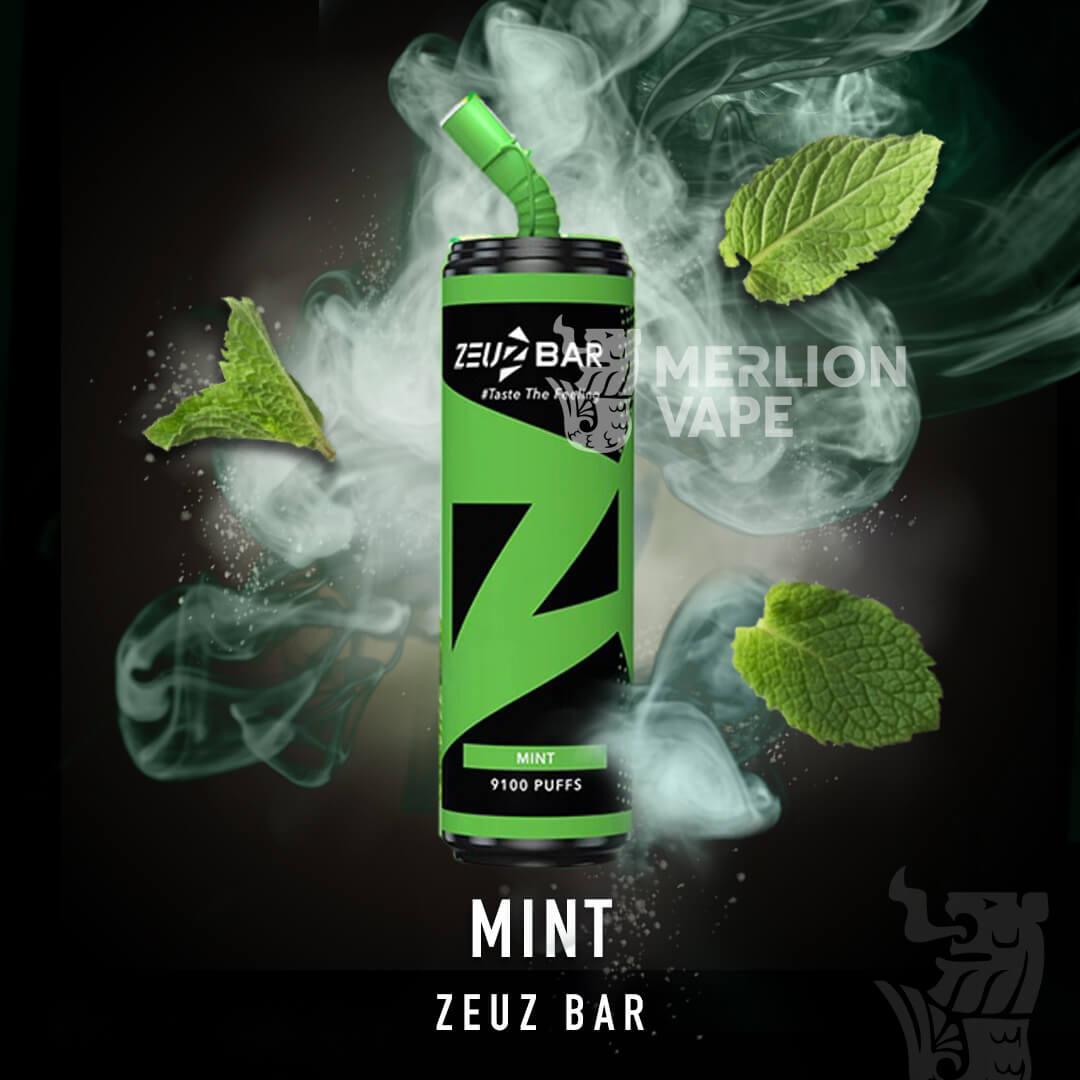 Zeuz Bar 9100 Rechargeable Disposable (Merlion Vape Sg)  - Mint - Merlion Vape Sg