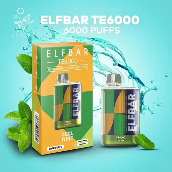 Elfbar TE 6000 Rechargeable Disposable (Merlion Vape Sg) - Cool Mint - Merlion Vape Sg