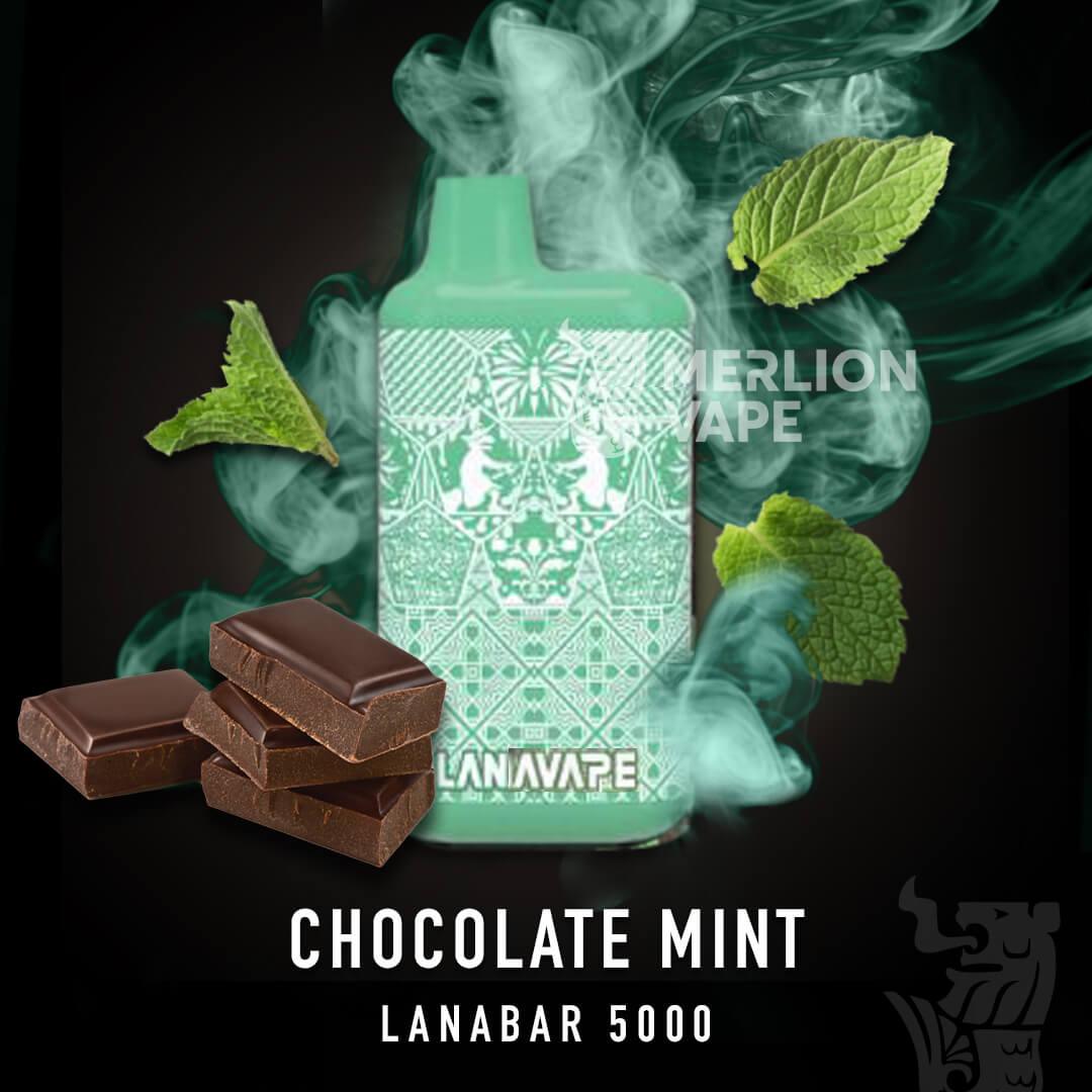 Lana Bar 5000 Rechargeable Disposable (Merlion Vape Sg) - Chocolate Mint - Merlion Vape Sg